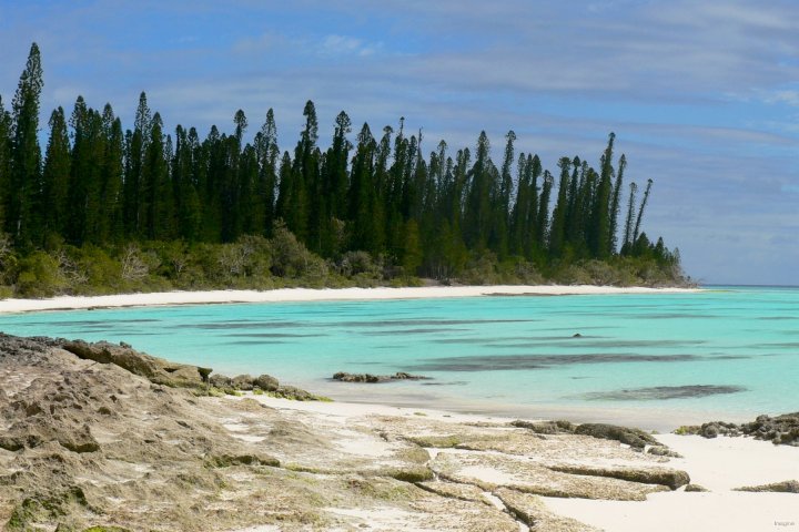 36- A la pointe est de l'ilot Brosse 